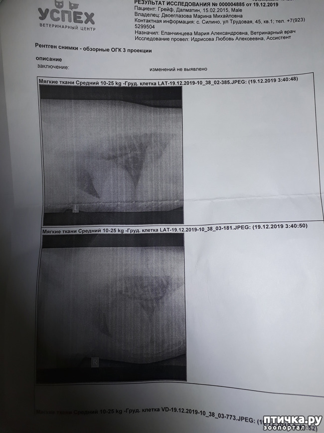 ���� 3: ���������. �����������...