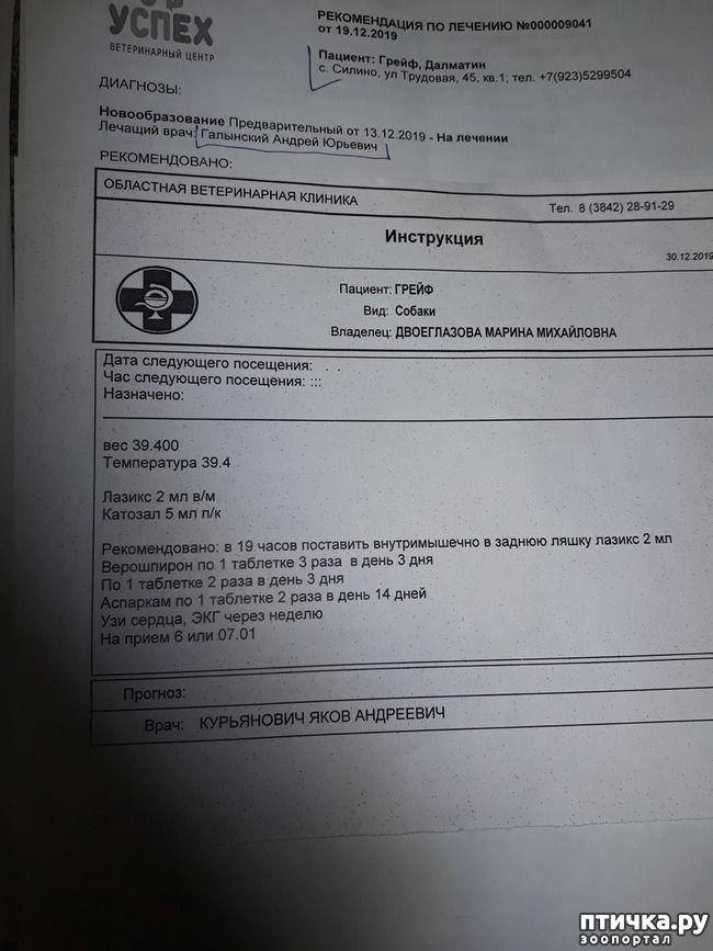 ���� 5: ���������. �����������...