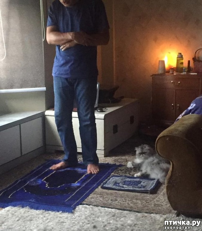 ���� 9: ������� ��������, �������� �� ������������)