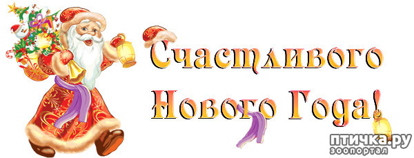 ���� 23: � ����� �����, � ����� ��������, ������� ��� ������!