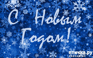 ����: ��� �������