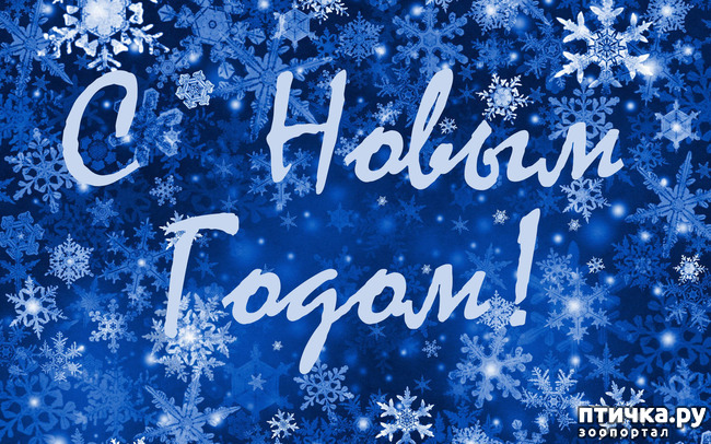 ���� 1: ��� �������