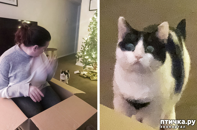 ���� 10: ������� ��������, �������� �� ������������)