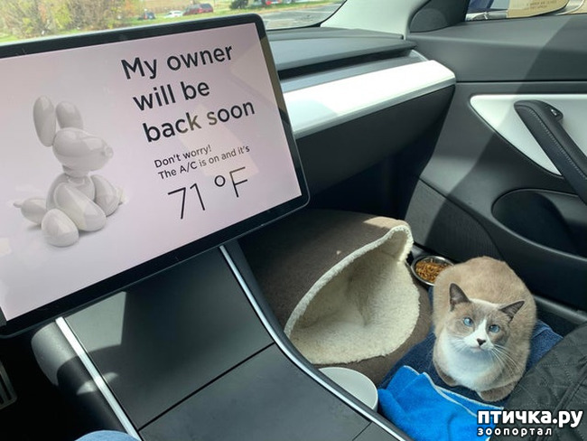 ���� 11: ������� ��������, �������� �� ������������)