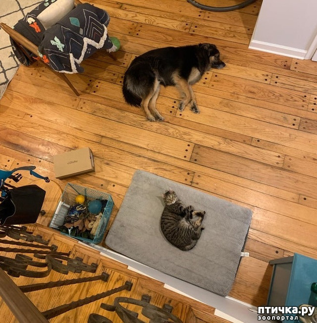 ���� 12: ������� ��������, �������� �� ������������)