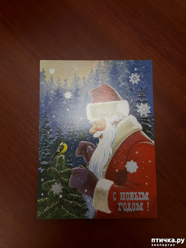 ���� 2: ��� �������