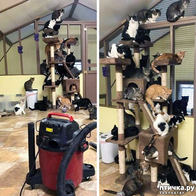 ���� 13: ������� ��������, �������� �� ������������)