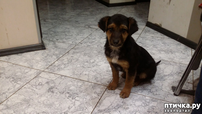 ���� 1: ���������. ��������) ���� �����.