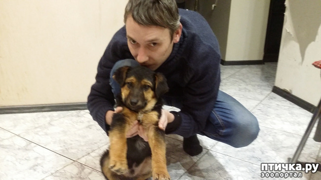 ���� 2: ���������. ��������) ���� �����.