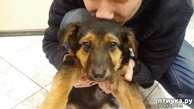 ���� 3: ���������. ��������) ���� �����.