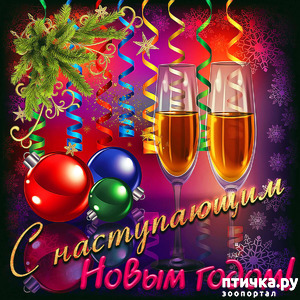 ����: � ����� �����! ����� ������������!