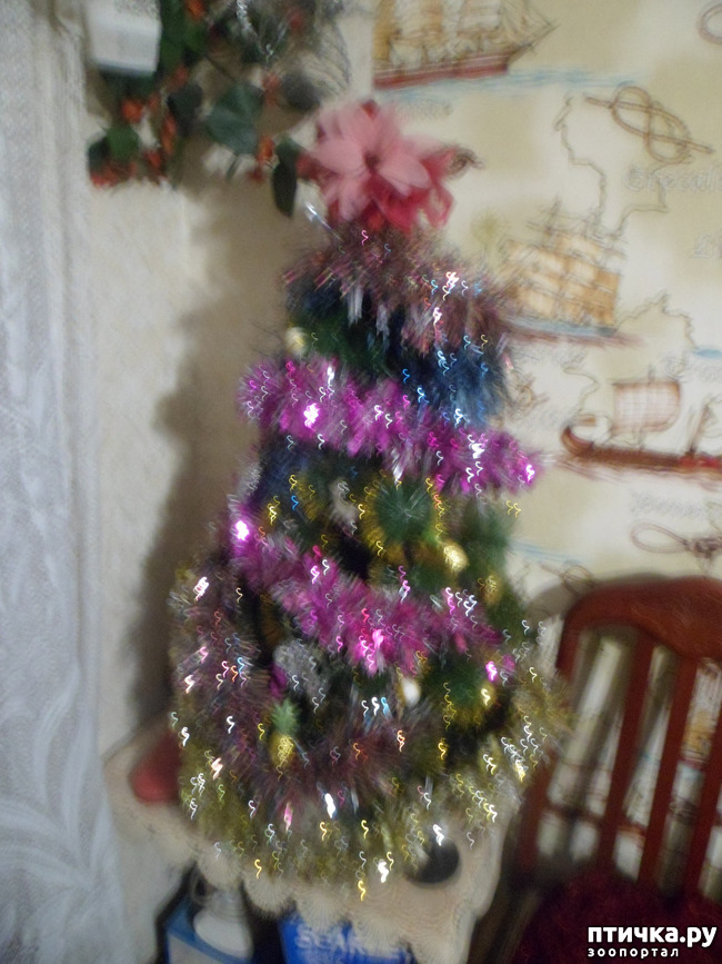 ���� 2: � ����� �����! ����� ������������!