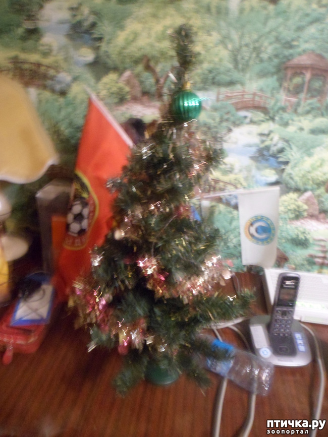 ���� 3: � ����� �����! ����� ������������!