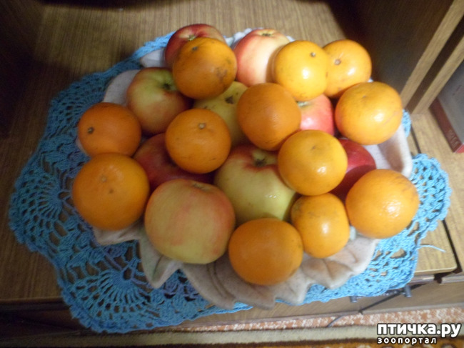 ���� 7: � ����� �����! ����� ������������!