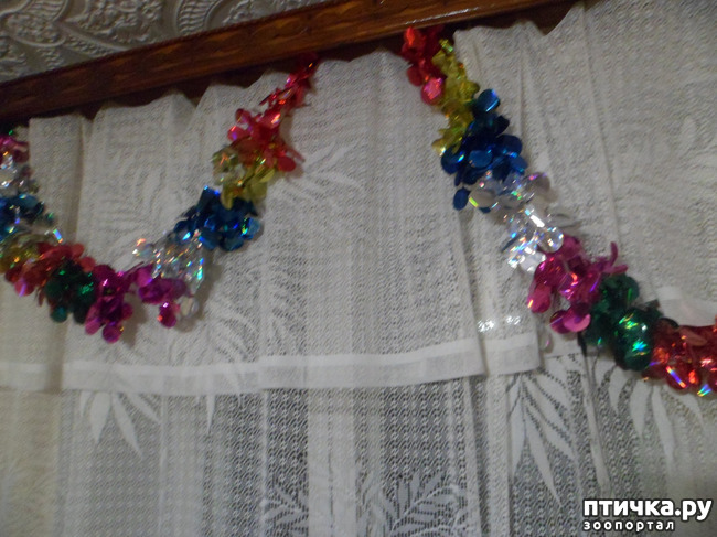 ���� 4: � ����� �����! ����� ������������!