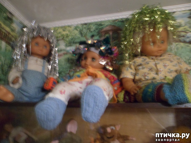 ���� 5: � ����� �����! ����� ������������!