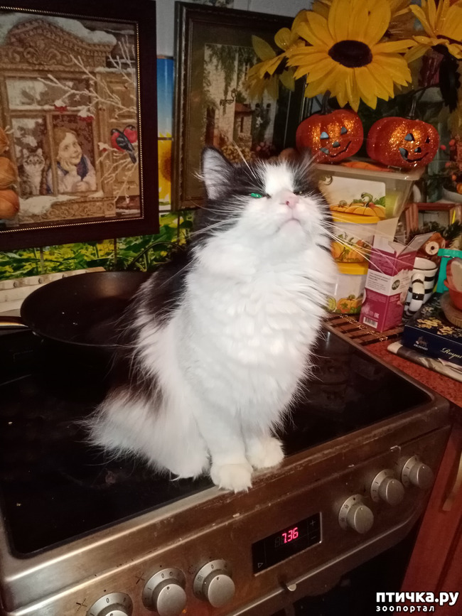 ���� 1: � ����� ����� �� ���� ������!!!