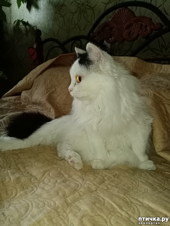 ���� 2: � ����� ����� �� ���� ������!!!