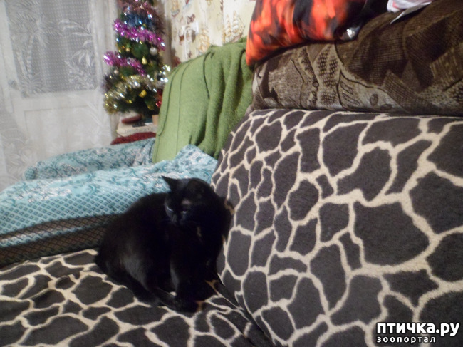 ���� 6: � ����� �����! ����� ������������!