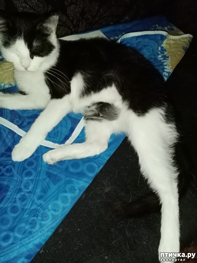 ���� 3: � ����� ����� �� ���� ������!!!