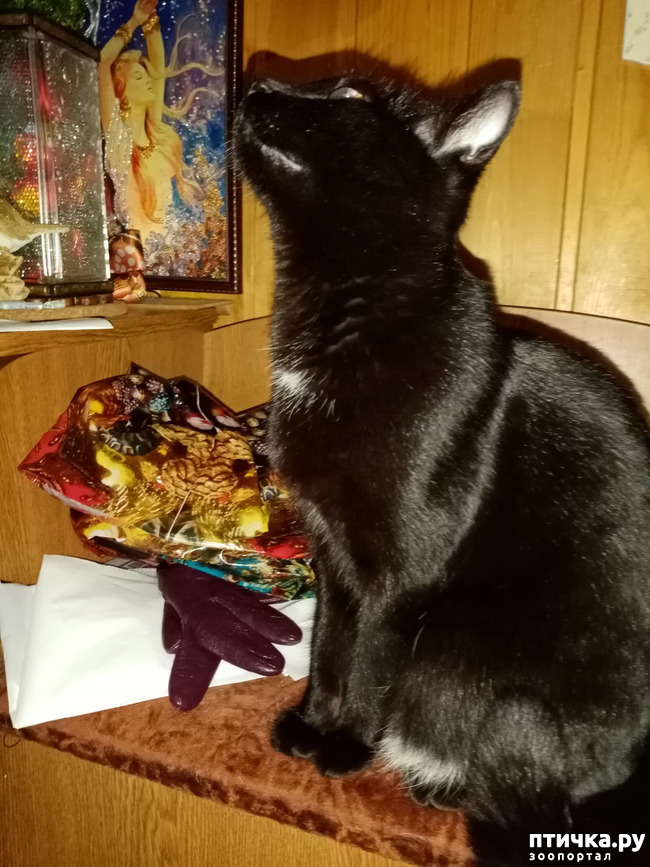 ���� 4: � ����� ����� �� ���� ������!!!