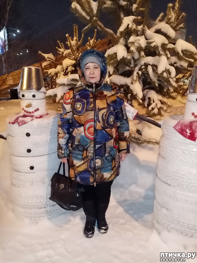 ���� 5: � ����� ����� �� ���� ������!!!