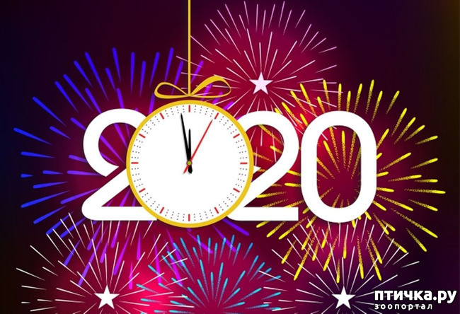 ���� 8: � ����� �����! ����� ������������!