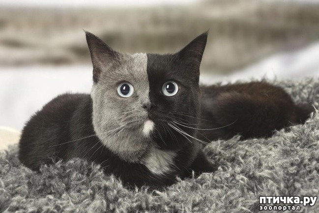 ���� 6: 7 ����� � ����� ����������� �������