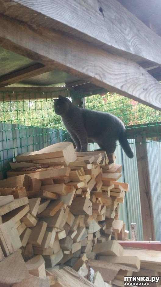 ���� 11: ������� ������ - 2