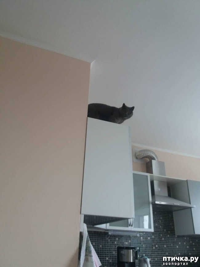 ���� 12: ������� ������ - 2