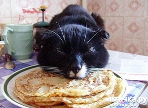 ����: ���o �o��o�!!!