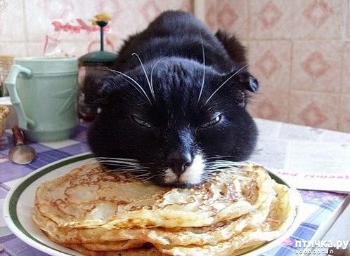 ���� 1: ���o �o��o�!!!