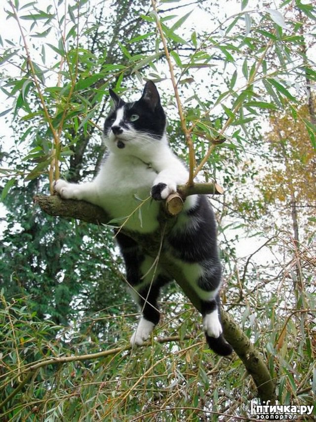 ���� 2: ������� ������ - 2