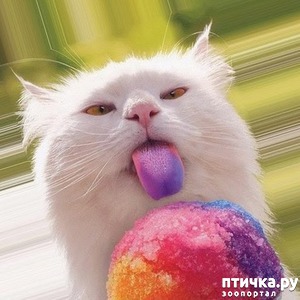 ����: ������� ������ - 2