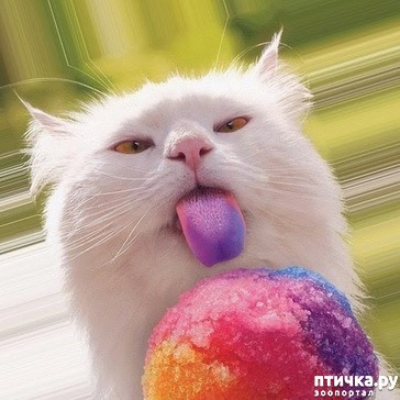 ���� 1: ������� ������ - 2