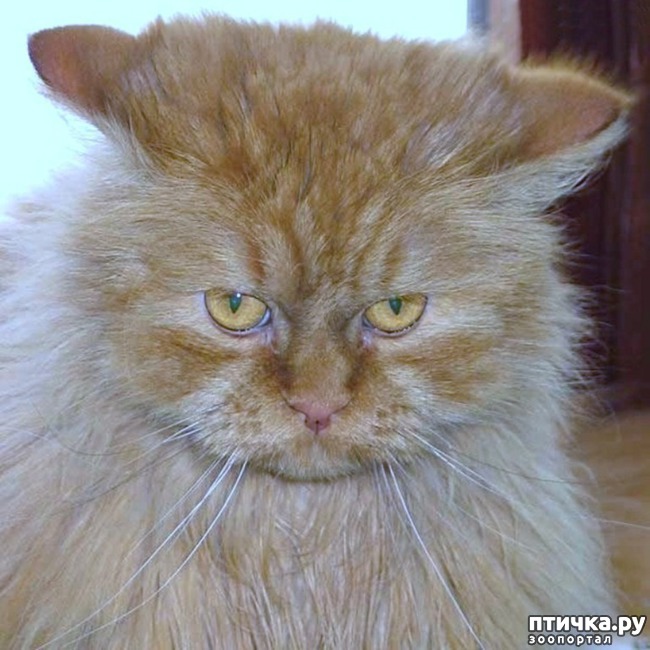 ���� 7: ������� ������ - 2