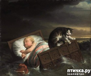 ����: ���������� � �������