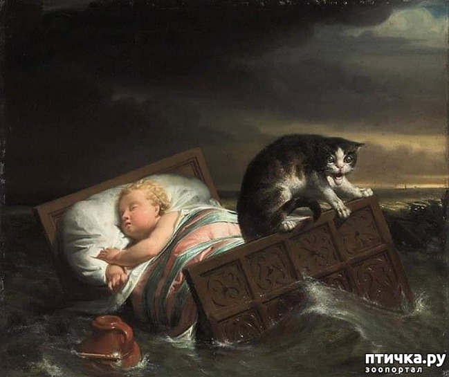 ���� 1: ���������� � �������