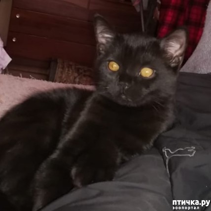 ���� 7: ����, ��� �� ����...