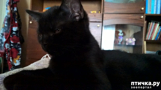 ���� 6: ����, ��� �� ����...