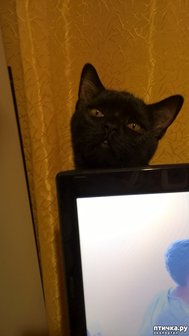 ���� 4: ����, ��� �� ����...