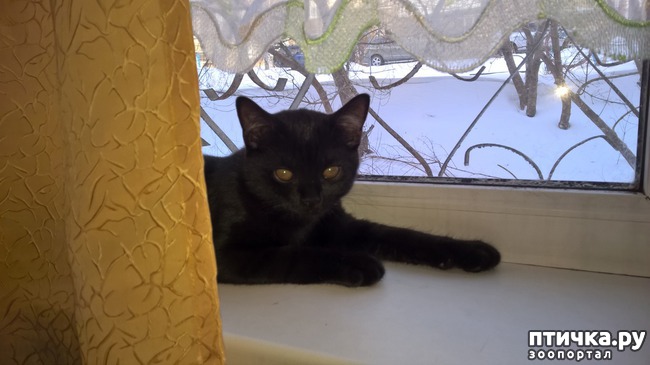 ���� 8: ����, ��� �� ����...