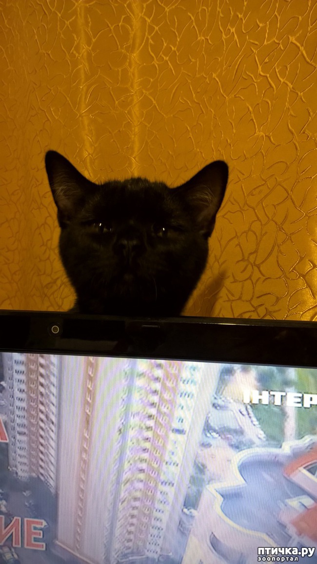 ���� 3: ����, ��� �� ����...