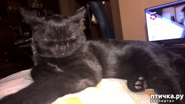 ���� 2: ����, ��� �� ����...