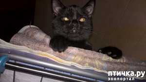 ����: ����, ��� �� ����...