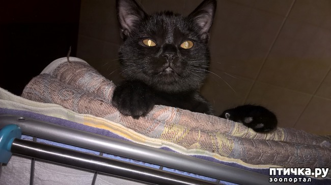 ���� 1: ����, ��� �� ����...