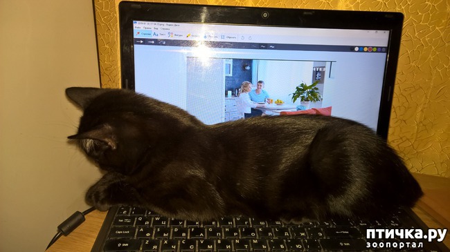 ���� 5: ����, ��� �� ����...