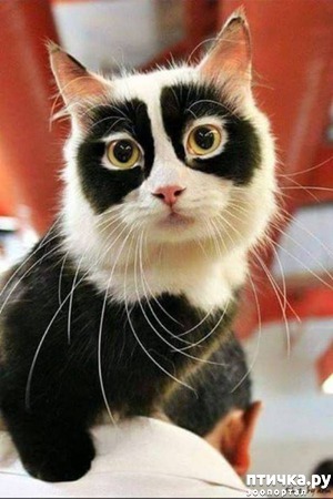 ����: 7 ����� � ����� ����������� �������