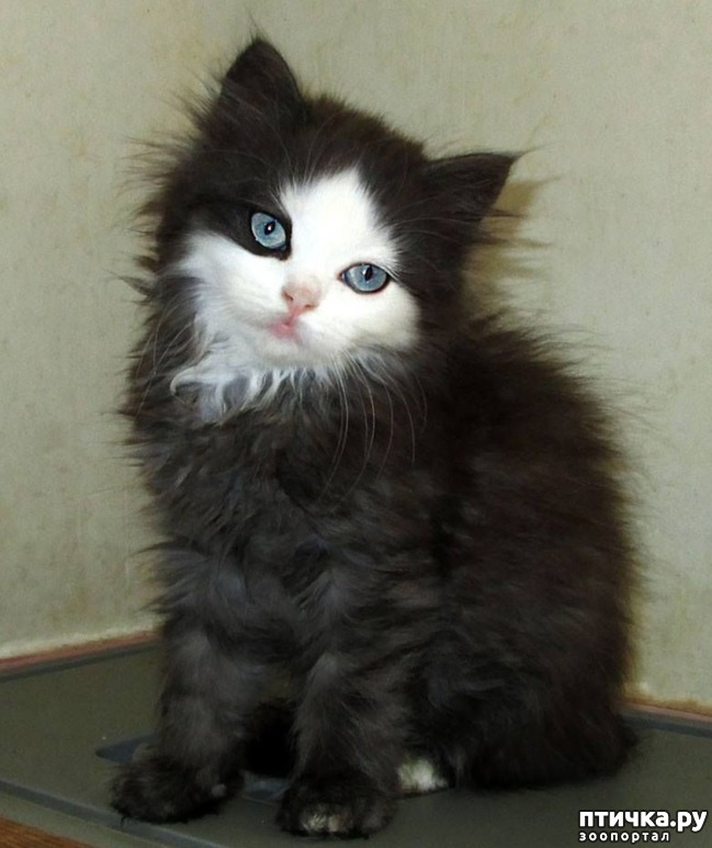 ���� 2: 7 ����� � ����� ����������� �������