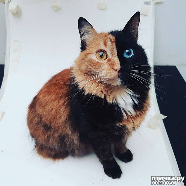 ���� 4: 7 ����� � ����� ����������� �������